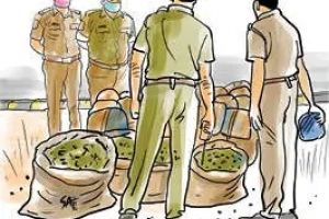 എക്സൈസിന്റെ 'ഓപ്പറേഷൻ തണ്ടർ': പത്തനംതിട്ടയിൽ ലഹരിവേട്ടയും പരിശോധനകളും ശക്തമാക്കി