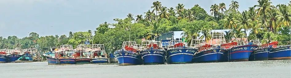 ട്രോളിങ് നിരോധനം ചൊവ്വാഴ്ച അർധരാത്രി മുതൽ; ബോട്ടുകൾ തീരങ്ങളിലേക്ക് മടങ്ങിത്തുടങ്ങി