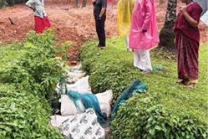 തോടും വയലും പ്ലാസ്റ്റിക് മാലിന്യവും മണ്ണിട്ടുമൂടി നികത്താൻ ശ്രമം; പ്രവൃത്തി തടഞ്ഞ് ഡി.വൈ.എഫ്.ഐ.