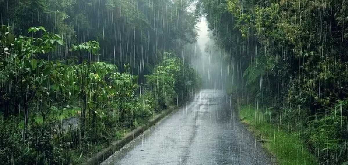 സംസ്ഥാനത്ത് കാലവർഷം ദുർബലമാകുന്നു; ഇന്ന് നാല് ജില്ലകളിൽ യെല്ലോ അലേർട്ട്, ഇടിമിന്നൽ ജാഗ്രതാനിർദേശം