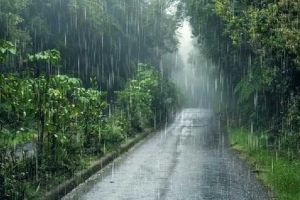 സംസ്ഥാനത്ത് കാലവർഷം ദുർബലമാകുന്നു; ഇന്ന് നാല് ജില്ലകളിൽ യെല്ലോ അലേർട്ട്, ഇടിമിന്നൽ ജാഗ്രതാനിർദേശം