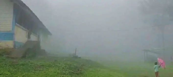കോടമഞ്ഞിൽ മുങ്ങി നെല്ലിയാമ്പതി; സഞ്ചാരികളുടെ ഒഴുക്ക് തുടങ്ങി, മുന്നറിയിപ്പുമായി വനംവകുപ്പ്