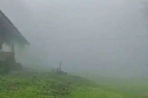 കോടമഞ്ഞിൽ മുങ്ങി നെല്ലിയാമ്പതി; സഞ്ചാരികളുടെ ഒഴുക്ക് തുടങ്ങി, മുന്നറിയിപ്പുമായി വനംവകുപ്പ്