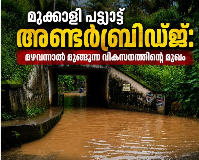 പ്രതികരണം: മുക്കാളി പട്ട്യാട്ട് അണ്ടർബ്രിഡ്ജ്: മഴവന്നാൽ മുങ്ങുന്ന വികസനത്തിന്റെ മുഖം