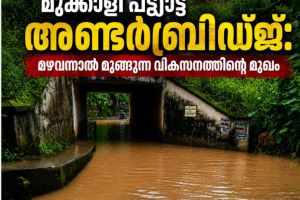 പ്രതികരണം:  മുക്കാളി പട്ട്യാട്ട് അണ്ടർബ്രിഡ്ജ്: മഴവന്നാൽ മുങ്ങുന്ന വികസനത്തിന്റെ മുഖം
