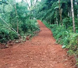 പൊതുജന പങ്കാളിത്തത്തോടെ കാട് വെട്ടിമാറ്റി; കൂരാച്ചുണ്ടിൽ കാട്ടാന പ്രതിരോധത്തിന് വഴിതെളിഞ്ഞു