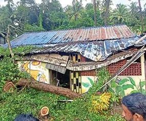 ചുഴലിക്കാറ്റിലും ശക്തമായ മഴയിലും വ്യാപക നാശനഷ്ടം; വീടുകൾ തകർന്നു, കൃഷി നശിച്ചു