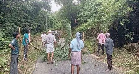 ജനകീയ കൂട്ടായ്മയിൽ റോഡരികിലെ കാട് വെട്ടിമാറ്റി; കക്കയം പാതയിൽ ഇനി സുരക്ഷിത യാത്ര