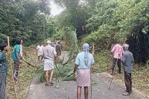 ജനകീയ കൂട്ടായ്മയിൽ റോഡരികിലെ കാട് വെട്ടിമാറ്റി; കക്കയം പാതയിൽ ഇനി സുരക്ഷിത യാത്ര