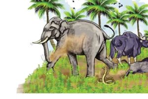വന്യമൃഗശല്യം: പ്രശ്നങ്ങൾ പരിശോധിക്കാൻ വനം മന്ത്രി റാന്നിയിലെത്തും