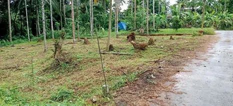 തിരുവമ്പാടി സബ് രജിസ്ട്രാർ ഓഫീസ് നിർമാണം അനിശ്ചിതത്വത്തിൽ
