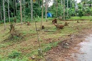 തിരുവമ്പാടി സബ് രജിസ്ട്രാർ ഓഫീസ് നിർമാണം അനിശ്ചിതത്വത്തിൽ