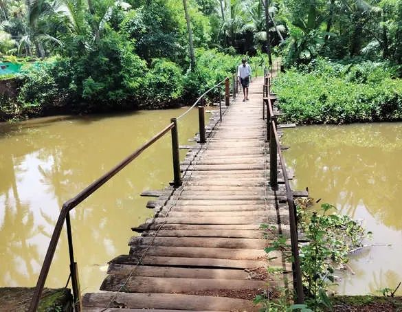 പൂന്തോട്ടത്തിൽ നടപ്പാലം അപകടത്തിൽ; പുതിയ പാലത്തിനായുള്ള കാത്തിരിപ്പ് നീളുന്നു