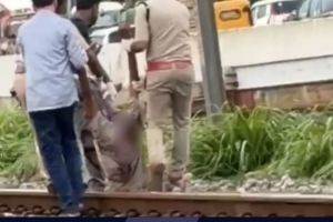 ചേമഞ്ചേരിയിൽ ട്രെയിനിടിച്ച് അജ്ഞാതൻ മരിച്ച നിലയിൽ; മൃതദേഹം തലയും ഉടലും വേർപെട്ട നിലയിൽ