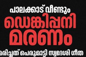 ഡെങ്കിപ്പനി പ്രതിരോധത്തിന് ജനകീയ ബോധവൽക്കരണം ശക്തമാക്കണം : സമുദ്ര ആയുർവേദ ഗവേഷണ കേന്ദ്രം  : ടി. ശ്രീനിവാസൻ ചെയർമാൻ,സമുദ്ര ആയുർവേദ ഗവേഷണ കേന്ദ്രം