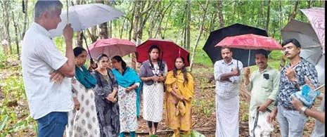ആഫ്രിക്കൻ ഒച്ച് ശല്യം: ചക്കിട്ടപാറയിൽ കൃഷിവകുപ്പിന്റെ നേതൃത്വത്തിൽ പ്രതിരോധ നടപടികൾ