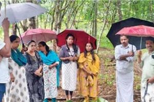 ആഫ്രിക്കൻ ഒച്ച് ശല്യം: ചക്കിട്ടപാറയിൽ കൃഷിവകുപ്പിന്റെ നേതൃത്വത്തിൽ പ്രതിരോധ നടപടികൾ