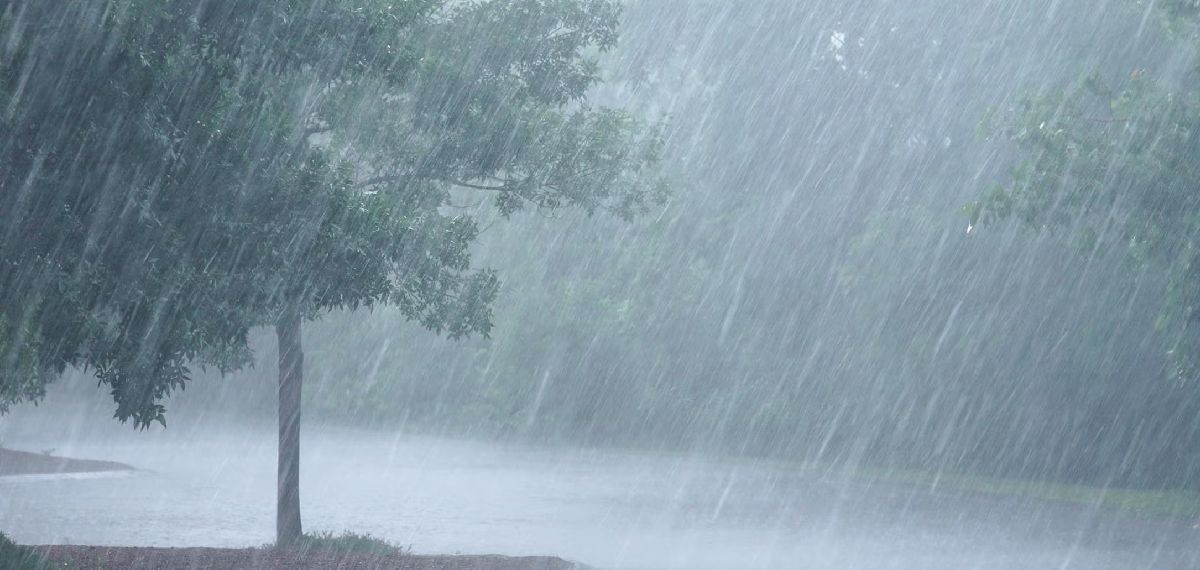 സംസ്ഥാനത്ത് ഇന്ന് അതിശക്തമായ മഴയ്ക്ക് സാധ്യത; നാലിടത്ത് ഓറഞ്ച് അലേർട്ട്, എല്ലാ ജില്ലകളിലും മുന്നറിയിപ്പ്