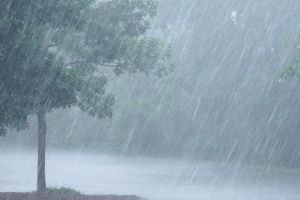 സംസ്ഥാനത്ത് ഇന്ന് അതിശക്തമായ മഴയ്ക്ക് സാധ്യത; നാലിടത്ത് ഓറഞ്ച് അലേർട്ട്, എല്ലാ ജില്ലകളിലും മുന്നറിയിപ്പ്
