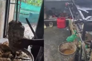 ഉസ്താദ് ഹോട്ടലിൽ കാര്യങ്ങൾ അത്ര വെടിപ്പല്ല'; പരിശോധനയിൽ കണ്ടത് ഞെട്ടിക്കുന്ന കാഴ്ചകൾ, അടച്ചുപൂട്ടിച്ച് ഭക്ഷ്യസുരക്ഷാ വകുപ്പ്