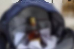 താമരശേരി സ്കൂളിൽ വിദ്യാർത്ഥി സ്‌കൂളിൽ വാറ്റ് ചാരായം കൊണ്ടുവരുന്നത് മൂന്നാം തവണ, വാറ്റുകാരനായ രണ്ടാനച്ചൻ വിദേശത്തേക്ക് കടന്നു; പൊലീസിന് ഗുരുതര വീഴ്ച