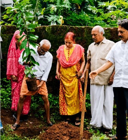 പിറന്നാൾ മരം; എന്റെ ഒരു അപേക്ഷ: എം. എൻ. കാരശ്ശേരി