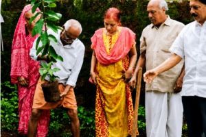 പിറന്നാൾ മരം; എന്റെ ഒരു അപേക്ഷ: എം. എൻ. കാരശ്ശേരി