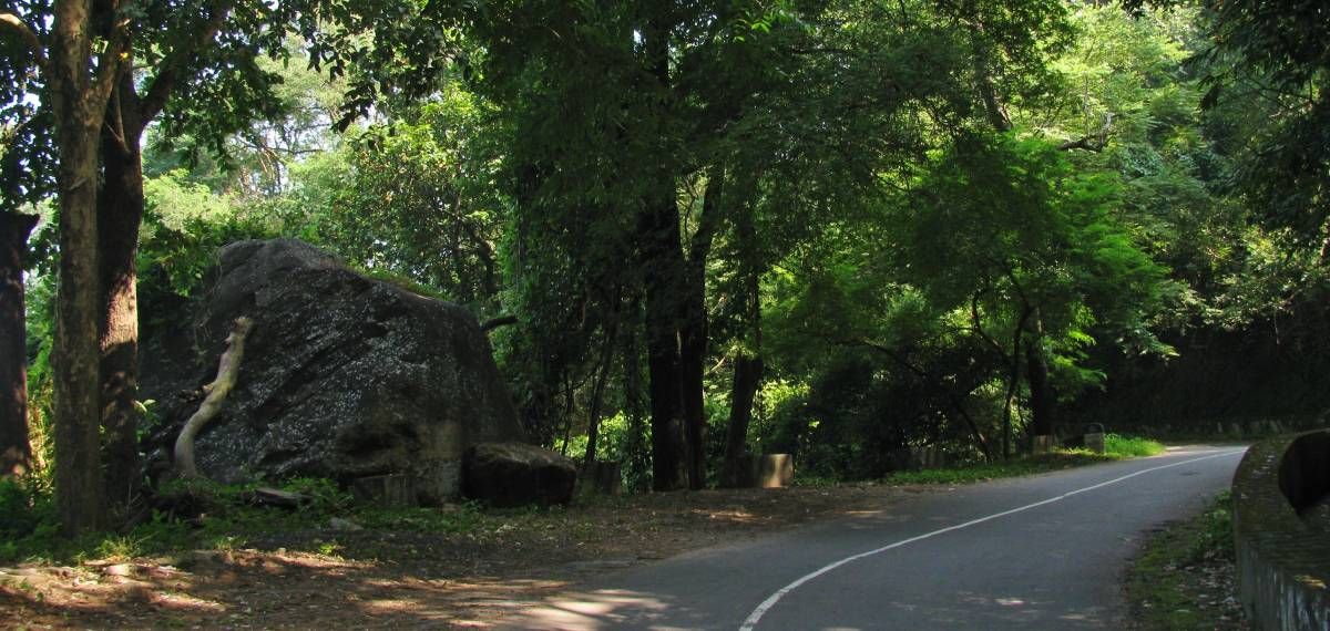 നെല്ലിയാമ്പതിയില്‍ രാത്രിയാത്രയ്ക്കും വിനോദസഞ്ചാരത്തിനും കര്‍ശന നിയന്ത്രണം ഏര്‍പ്പെടുത്തി ജില്ലാ കളക്ടര്‍