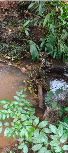 കനത്ത മഴയിൽ വെള്ളക്കെട്ട്: പട്ട്യാട്ട് അണ്ടർ ബ്രിഡ്ജും ചെറിയാണ്ടി തോടും പ്രദേശവാസികൾ സന്ദർശിച്ചു; ഞായറാഴ്ച ജനകീയ ശുചീകരണം നടത്തും