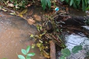 കനത്ത മഴയിൽ വെള്ളക്കെട്ട്: പട്ട്യാട്ട് അണ്ടർ ബ്രിഡ്ജും ചെറിയാണ്ടി തോടും പ്രദേശവാസികൾ സന്ദർശിച്ചു; ഞായറാഴ്ച ജനകീയ ശുചീകരണം നടത്തും