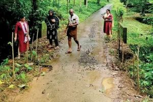കനത്ത മഴ: തിരുവമ്പാടിയിൽ കലുങ്കിൻ്റെ സംരക്ഷണഭിത്തി ഇടിഞ്ഞു