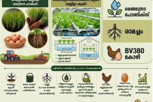 കൃഷി ലാഭകരമായ ബിസിനസ്സാക്കാം; മാന്റീസ് ഫാർമിംഗ് രണ്ട് ദിവസത്തെ തീവ്ര പരിശീലനം നൽകുന്നു