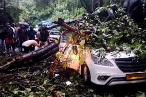 താമരശ്ശേരി ചുരത്തിൽ കാറിന് മുകളിലേക്ക് മരം ഒടിഞ്ഞുവീണു; ഗതാഗതം പൂർണ്ണമായും തടസ്സപ്പെട്ടു