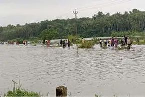 ചാലിയാറിലും ചെറുപുഴയിലും ജലനിരപ്പ് ഉയർന്നു: മാവൂരിലെ താഴ്ന്ന പ്രദേശങ്ങൾ വെള്ളത്തിനടിയിൽ, മൂന്ന് കുടുംബങ്ങളെ മാറ്റിപ്പാർപ്പിച്ചു