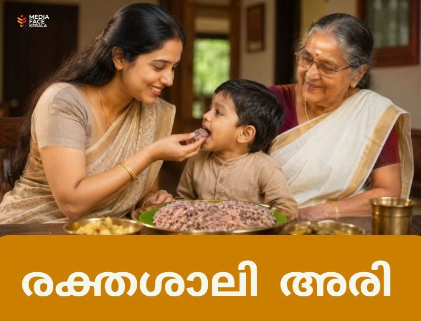 രക്തശാലി അരി: പാരമ്പര്യത്തിന്റെ ചുവപ്പിൽ ആരോഗ്യത്തിന്റെ പുതുവെളിച്ചം :പത്മനാഭൻ കണ്ണമ്പ്രത്ത്.ജൈവ കർഷകൻ