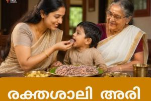 രക്തശാലി അരി: പാരമ്പര്യത്തിന്റെ ചുവപ്പിൽ ആരോഗ്യത്തിന്റെ പുതുവെളിച്ചം :പത്മനാഭൻ കണ്ണമ്പ്രത്ത്.ജൈവ കർഷകൻ