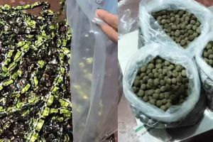 കോഴിക്കോട്ട് വൻ ലഹരിവേട്ട: സ്കൂൾ വിദ്യാർഥികളെ ലക്ഷ്യമിട്ടെത്തിച്ച 16 കിലോ കഞ്ചാവ് മിഠായിയുമായി ബിഹാർ സ്വദേശി പിടിയിൽ