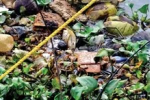 മാലിന്യക്കൂട്ടമായി തിരൂർ-പൊന്നാനി പുഴ: നടപടിയെടുക്കാതെ അധികൃതർ