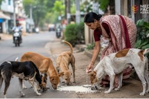 സുപ്രീംകോടതിയുടെ നിലപാടും മയ്യഴിയുടെ മാതൃകയും