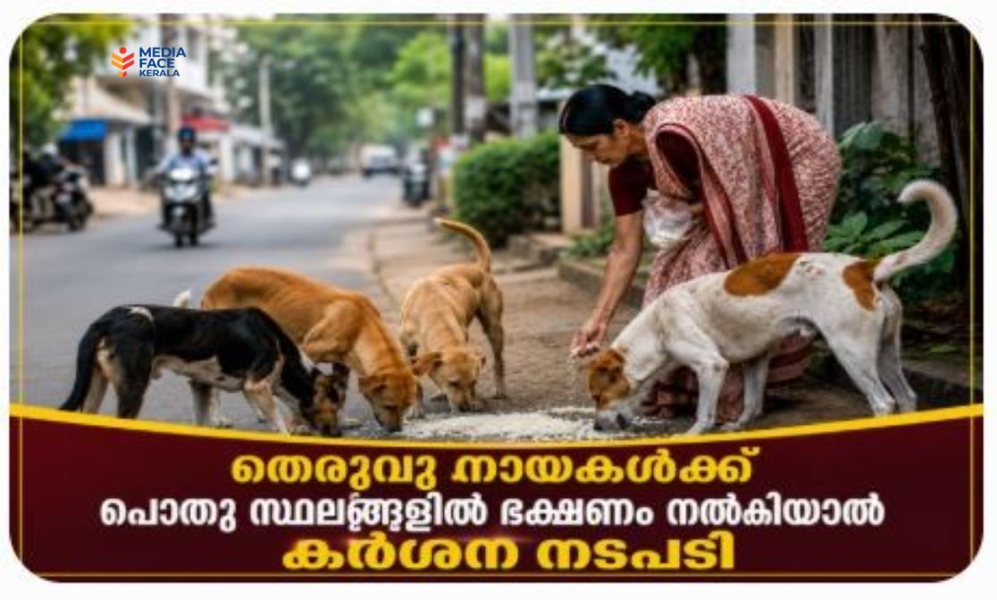തെരുവു നായകൾക്ക് പൊതു സ്ഥലങ്ങളിൽ ഭക്ഷണം നൽകിയാൽ കർശന നടപടി: മയ്യഴി നഗരസഭ