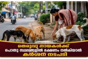 തെരുവു നായകൾക്ക് പൊതു സ്ഥലങ്ങളിൽ ഭക്ഷണം നൽകിയാൽ കർശന നടപടി: മയ്യഴി നഗരസഭ