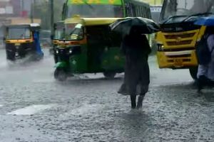 സംസ്ഥാനത്ത് വീണ്ടും മഴ ശക്തമാകുന്നു: 7 ജില്ലകളിൽ യെല്ലോ അലർട്ട്, ശക്തമായ കാറ്റിനും ഇടിമിന്നലിനും സാധ്യത