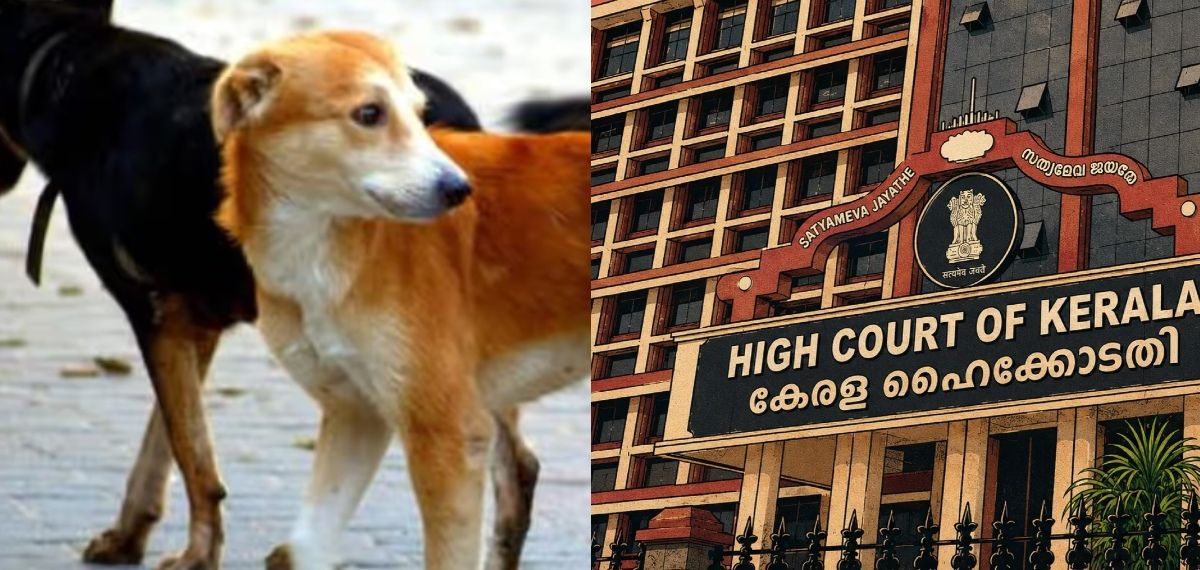 തെരുവുനായ ആക്രമണത്തില്‍ പരിക്കേറ്റാല്‍ നഷ്ടപരിഹാരം നല്‍കാന്‍ തദ്ദേശസ്ഥാപനങ്ങള്‍ക്ക് ബാധ്യതയുണ്ട്: ഹൈക്കോടതി