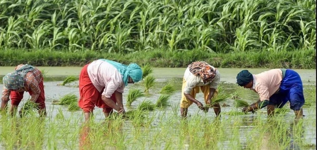 കർഷകർക്ക് വൻ ആശ്വാസം: പിഎം കിസാൻ പദ്ധതി അഞ്ച് വർഷം കൂടി തുടരും; 3.15 ലക്ഷം കോടി രൂപ വകയിരുത്തി കേന്ദ്രം