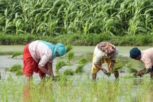 കർഷകർക്ക് വൻ ആശ്വാസം: പിഎം കിസാൻ പദ്ധതി അഞ്ച് വർഷം കൂടി തുടരും; 3.15 ലക്ഷം കോടി രൂപ വകയിരുത്തി കേന്ദ്രം