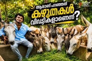 ആരാണ് പറഞ്ഞത് കഴുതകൾ വിഡ്ഢികളാണെന്ന്? :ചാലക്കര പുരുഷു