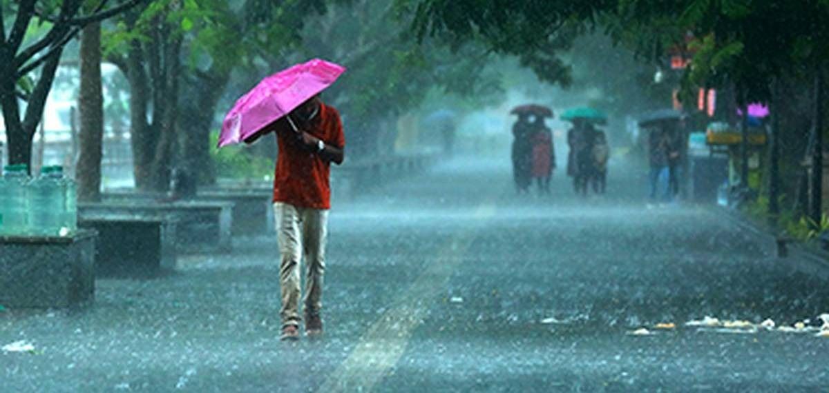 ഇന്നും മഴ തുടരും; എല്ലാ ജില്ലകളിലും മുന്നറിയിപ്പ്, 8 ജില്ലകളിലെ വിദ്യാഭ്യാസ സ്ഥാപനങ്ങൾക്ക് അവധി