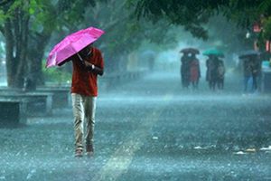ഇന്നും മഴ തുടരും; എല്ലാ ജില്ലകളിലും മുന്നറിയിപ്പ്, 8 ജില്ലകളിലെ വിദ്യാഭ്യാസ സ്ഥാപനങ്ങൾക്ക് അവധി