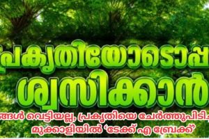 കോൺക്രീറ്റ് വികസനത്തിന് ഒരൽപ്പം ബ്രേക്ക്; പ്രകൃതിയോടൊപ്പം ശ്വസിക്കാൻ ടേക്ക് എ ബ്രീത്ത്'!