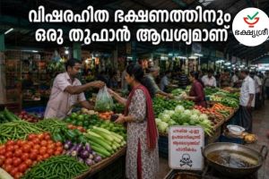 വെളിച്ചെണ്ണയിൽ മായം കലരുമ്പോൾ മങ്ങുന്നത് ഒരു നാടിന്റെ വിശ്വാസമാണ്
